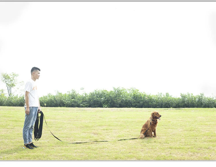 10m 15m 20m 30m Long Nylon Pet Dog Leash Obedience Recall Training Lead, Small Medium Large Dog Lanyard Tracking Rope