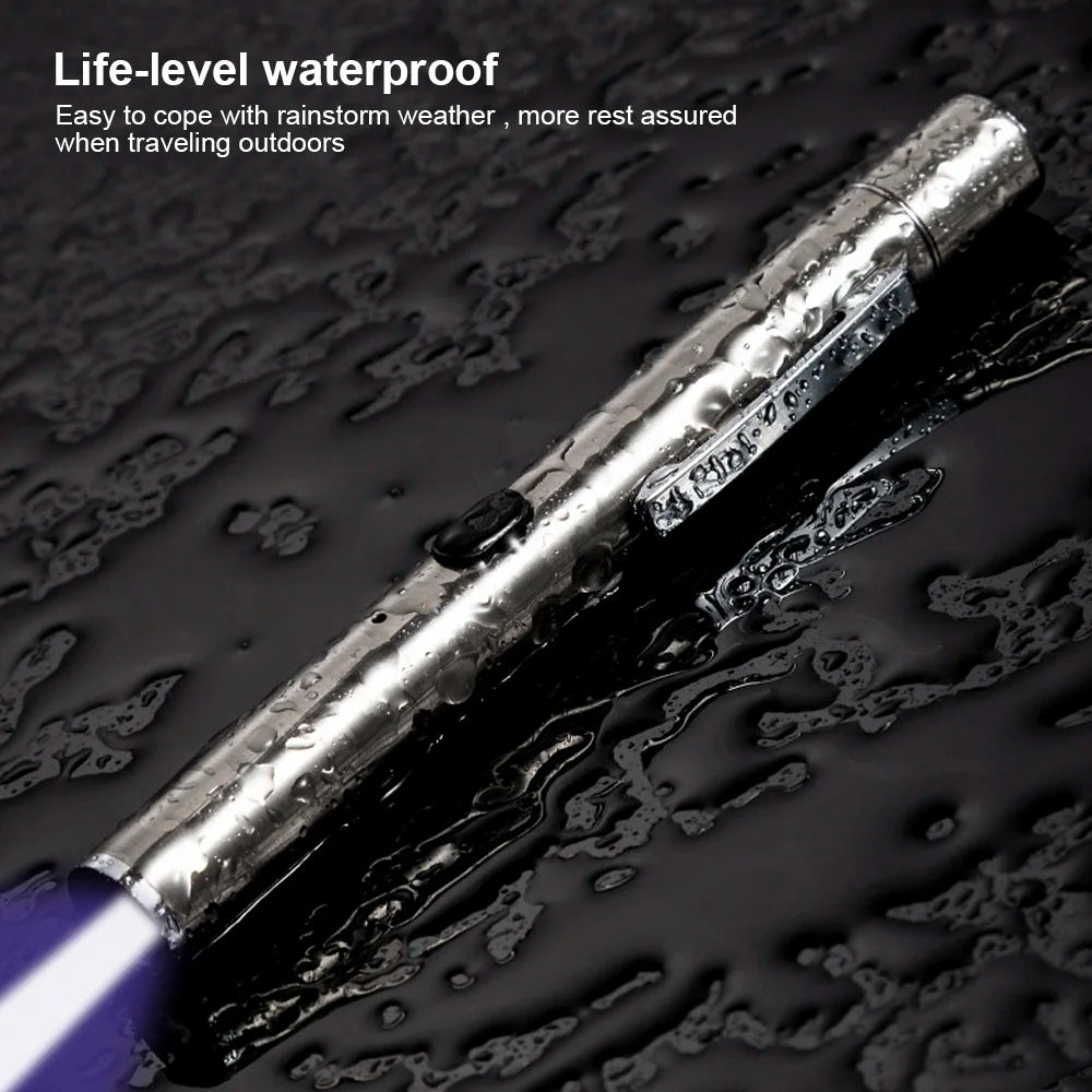 365 UV Veterinary Wood Lamp Pet Fungus Detection Waterproof Flashlight Skin Ultraviolet Light Cat Moss Tinea Light Black Mirror