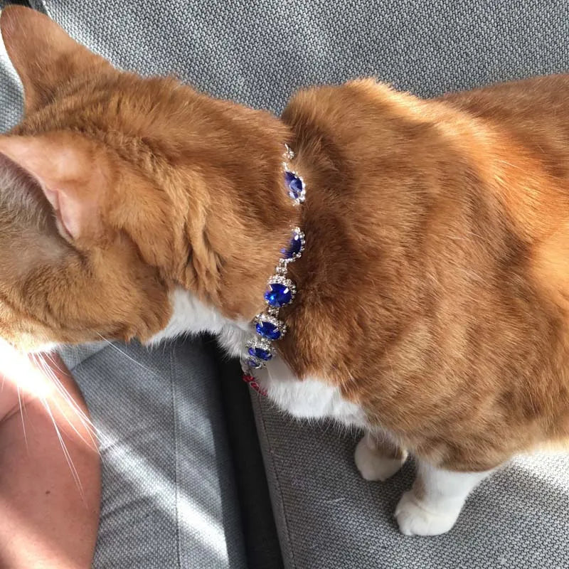 Bling Rhinestone Dog Necklace Jewelry Luxury Designer Gemstone Princess Dog Cat Wedding Collar for Small Medium Dogs Puppy