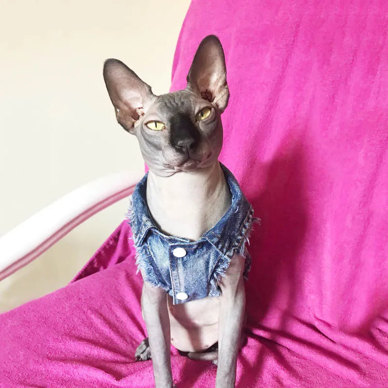 Sphinx Cat Clothes for Small Medium Large Cats, Dark Washed Cat Jeans Jacket Spring Autumn Denim Coat Cat Costume Pet Apparel