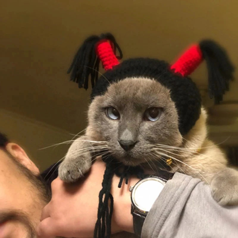 Funny Hat for Cat Sunflower Christmas Costume Pet Hat Halloween Cosplay Keep Warm Headwear Dogs Hats Puppy Accessories for Cats