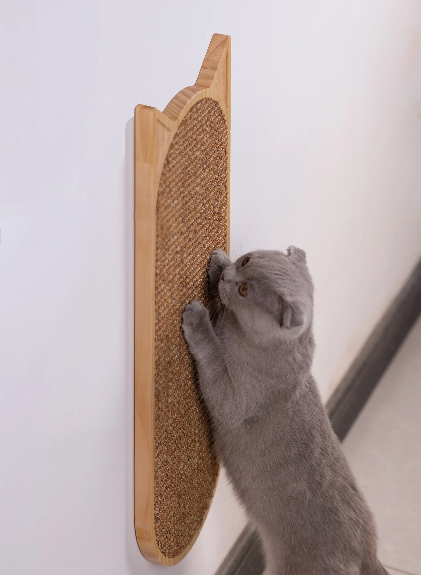 Wall Mounted Cat Scratching Board