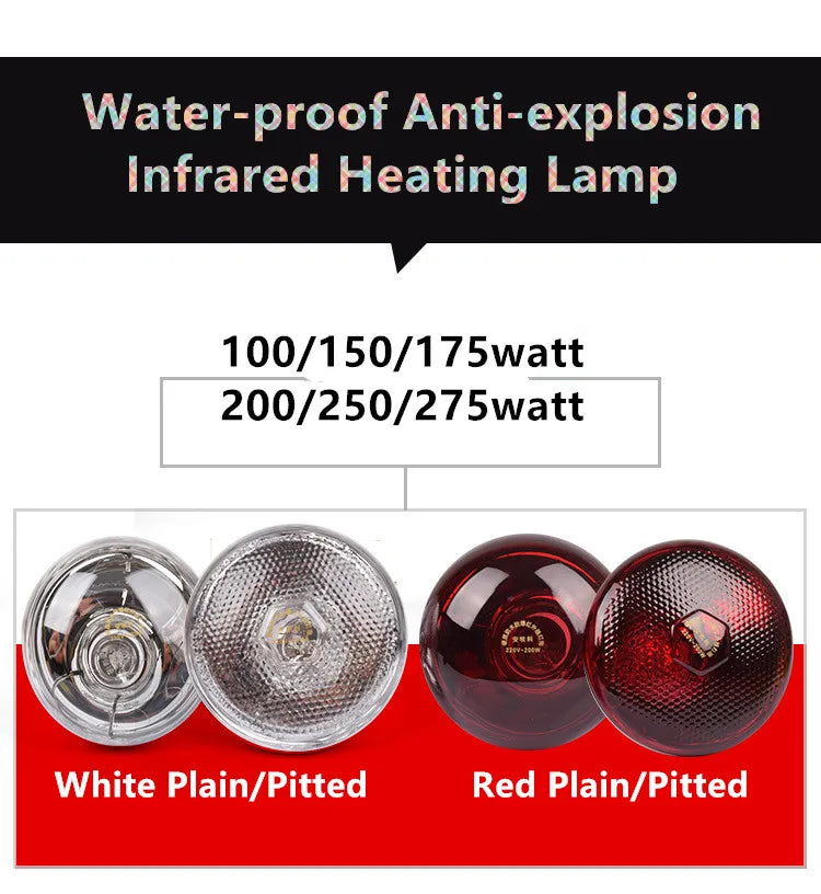 100-275 Watt 220v Waterproof Anti-explosion Livestock Chicks Piglet Heating Lamp Infrared Heat Light Bulb For Poultry Pig House