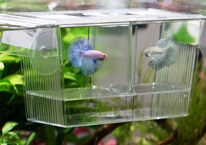 Acrylic Aquarium Fish Breeding Isolation Box Fish Tank Aquarium Breeder Double Guppies Hatching Incubator Fish Tank Accessories