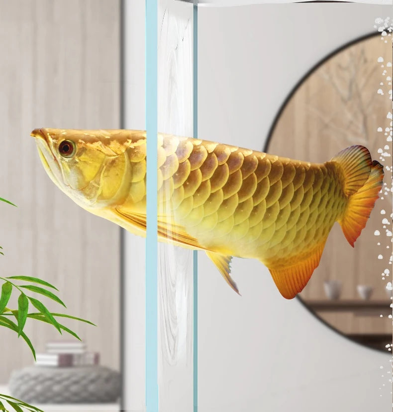 Glass Fish Tank Aquarium Arowana Large Fish Tank Golden Five-line Ultra-white Crystal Aquariums & Accessories 150*60*155cm