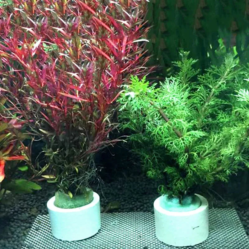 Aquarium Decorations Ceramic Ring Fish Tank Plant Fixing Pot Polka Water Plants Potted Planting Cylinder Cup Aquarium Ornaments