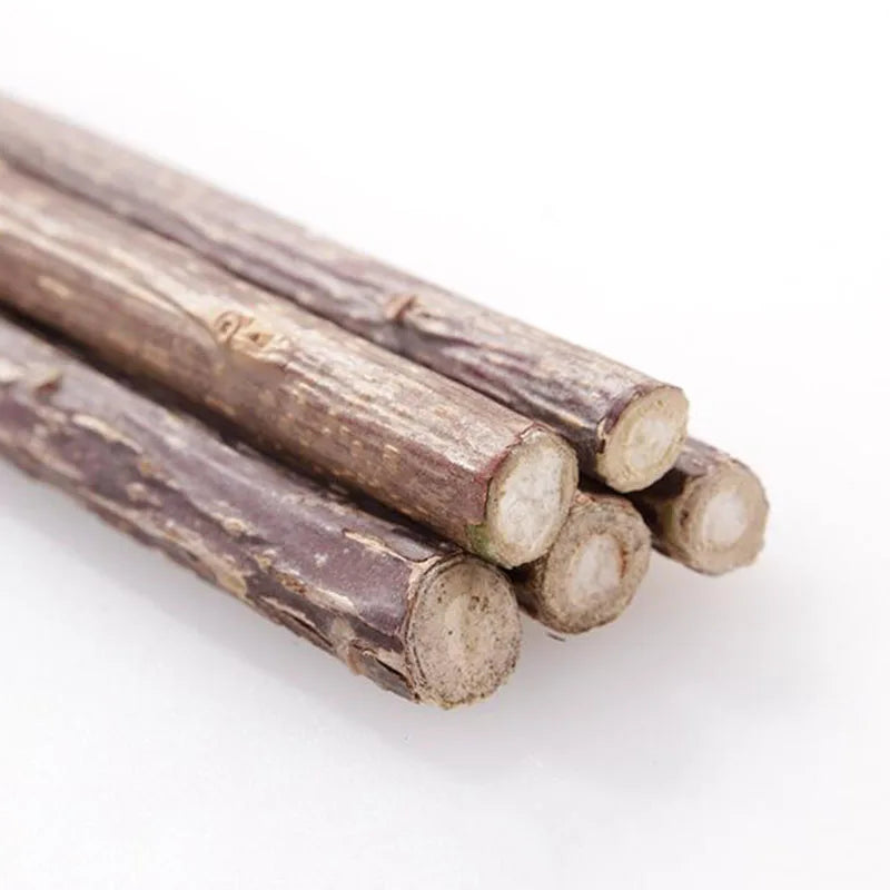 4pcs/Lot Pure Natural Catnip Stick Pet Toys For Cats Molar Toothpaste Branch Cleaning Teeth Silvervine Cat Snacks Sticks