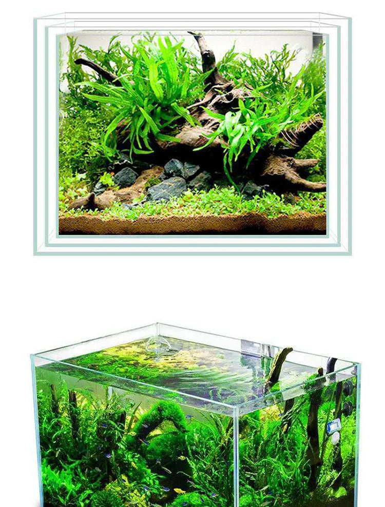 Clear and Transparent Small Aquarium Tank Rubber Strip Uniform White Glass Fish Tank Aquarium Glass