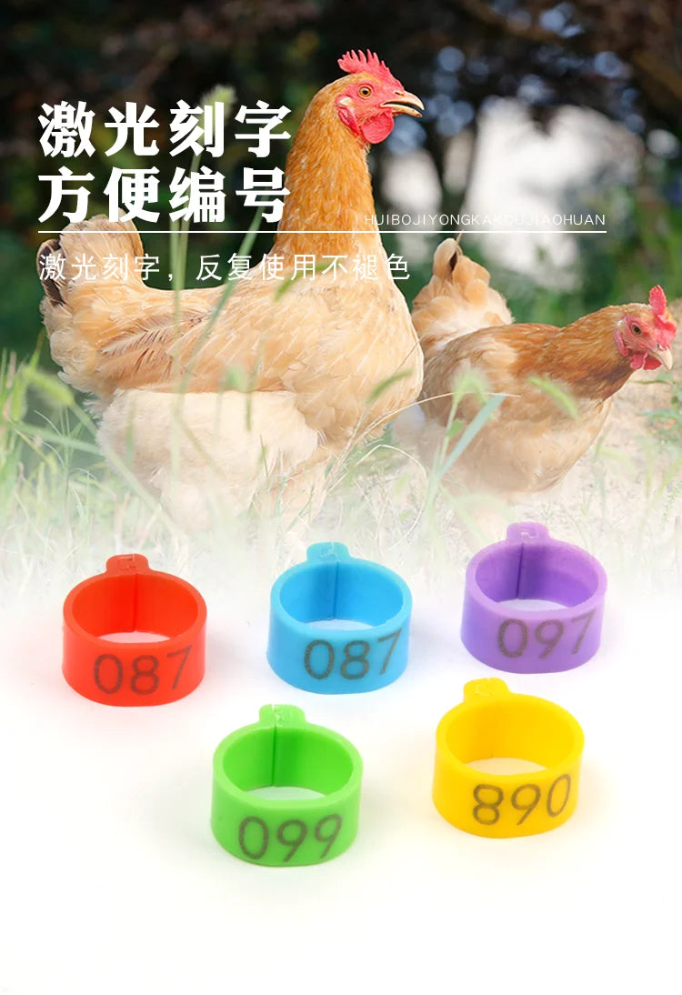 100Pcs Plastic 1.6/2.0cm Quail Bird Chicken Hen Pigeon Poultry Chicks Duck Parrot Foot Clip Rings Mark Sign