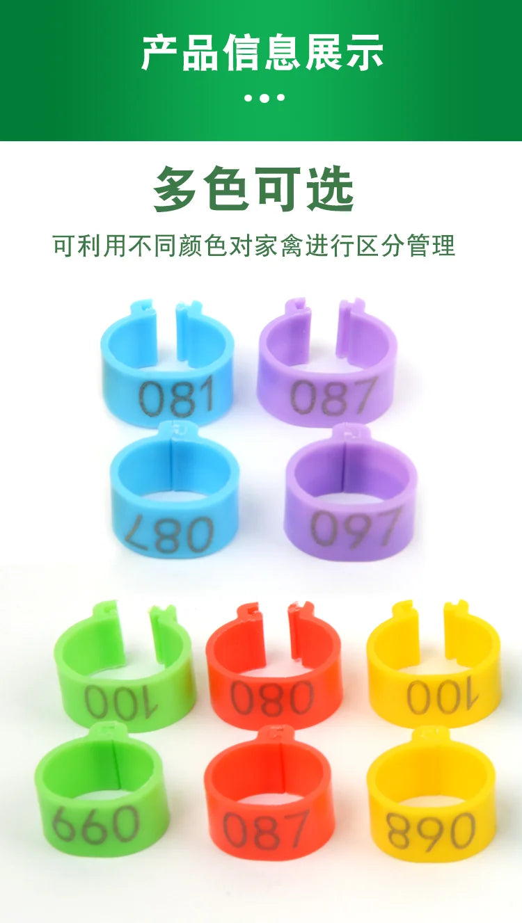 100Pcs Plastic 1.6/2.0cm Quail Bird Chicken Hen Pigeon Poultry Chicks Duck Parrot Foot Clip Rings Mark Sign