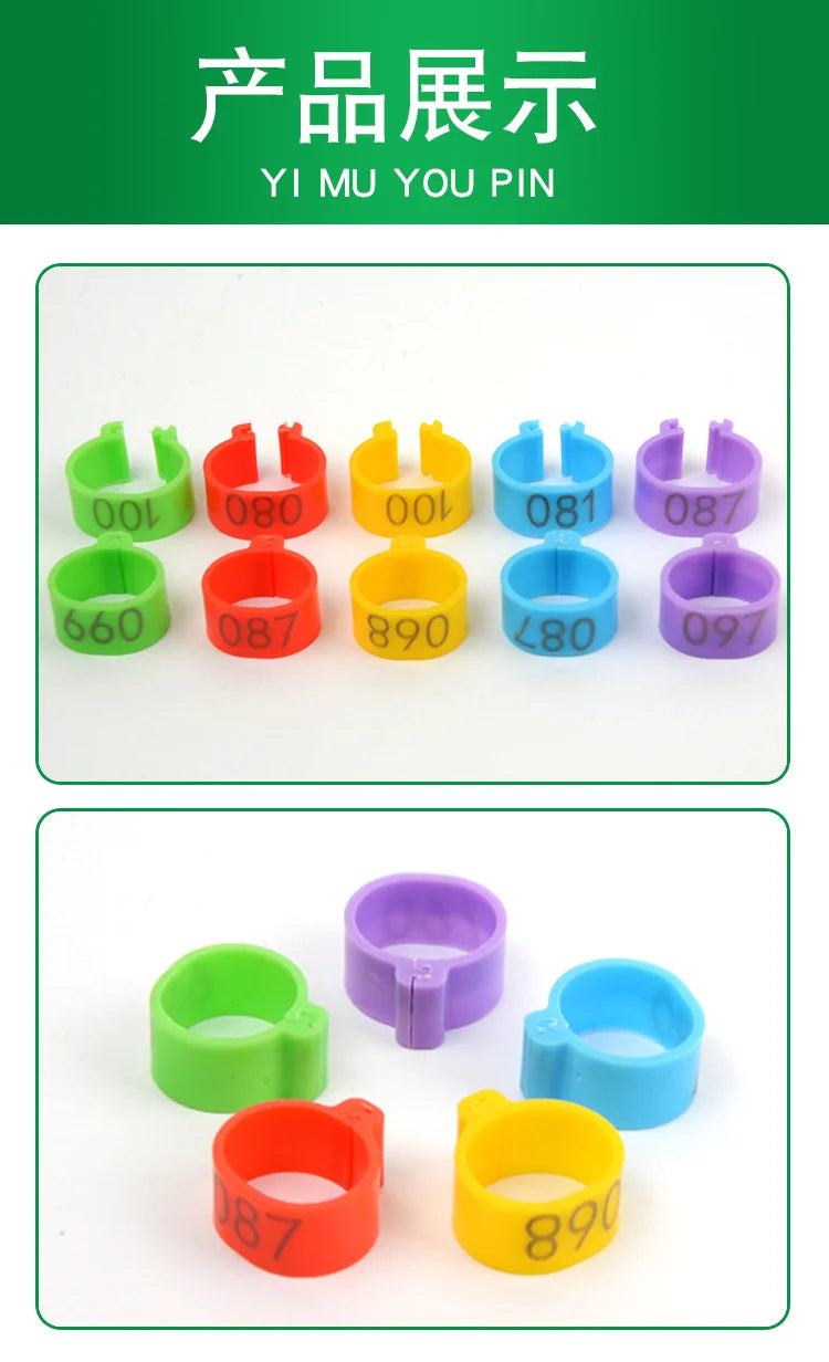 100Pcs Plastic 1.6/2.0cm Quail Bird Chicken Hen Pigeon Poultry Chicks Duck Parrot Foot Clip Rings Mark Sign