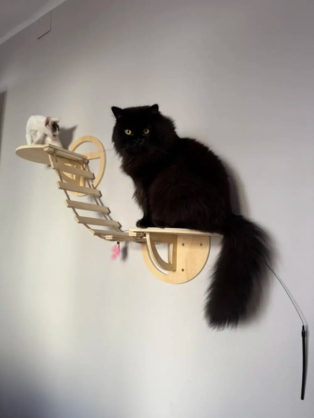 Cat Tree Tower Cat Climbing Shelf Wall Mounted Steps Curved Cat Bed Widen Access Corner Perches Hammock For Sleep Pet Furniture