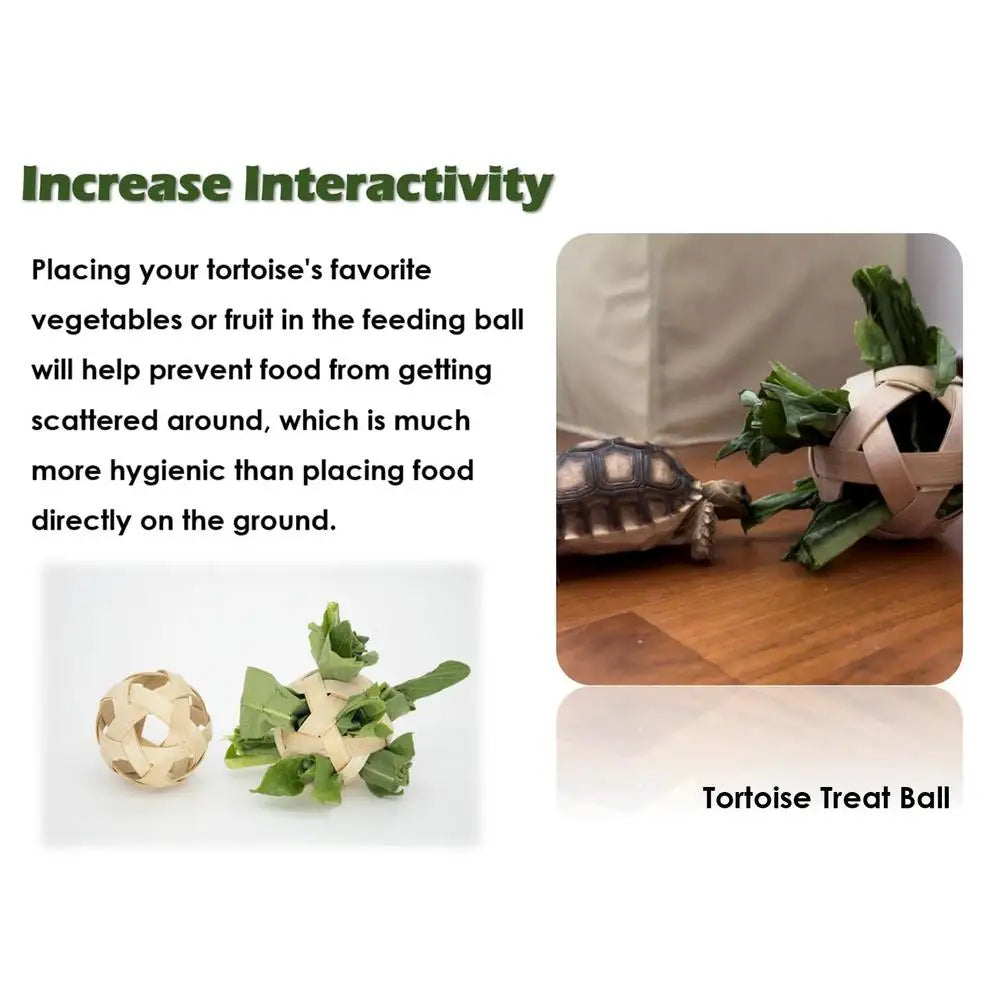 Turtle Feeding Ball Fruit Vegetable Holder with Training Skateboard 2 Treat Balls Turtle Enrichment Toys for Tortoise Turtle