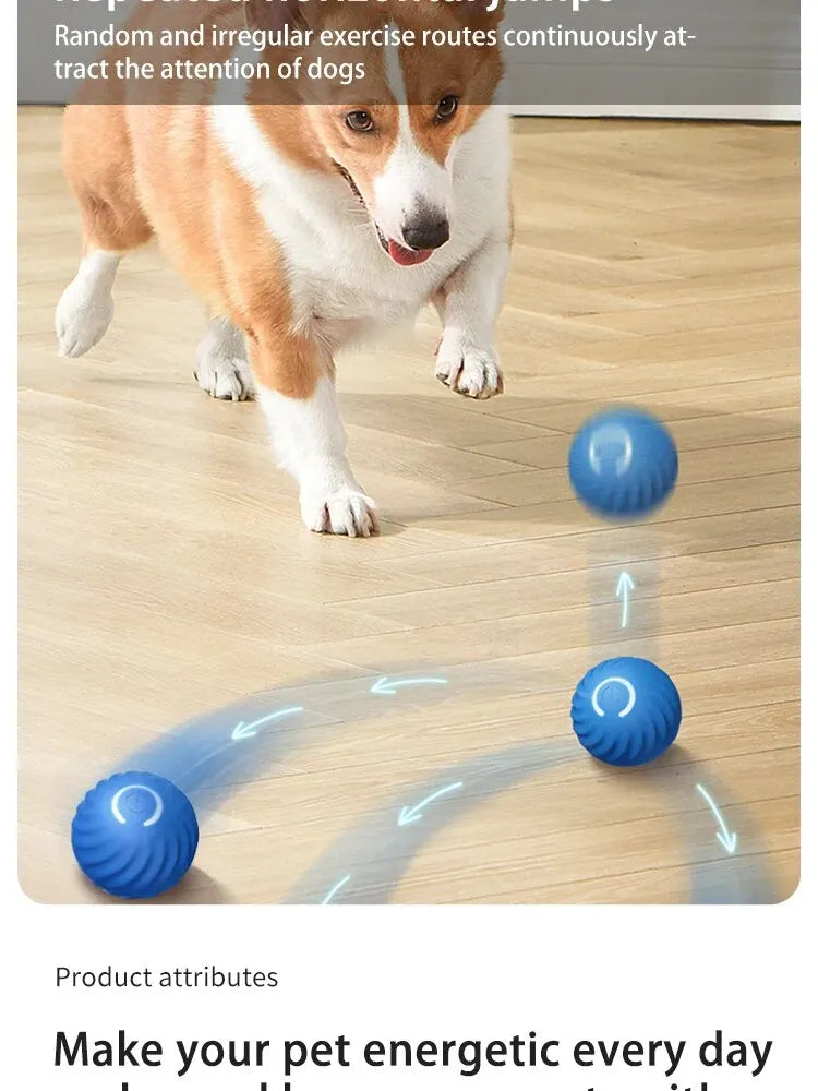 1pcs Dog Toys Intelligent Gravity Jump Ball Rechargeable Bite-Resistant Rolling Ball Cat And Dog Chase Interactive Pet Toys