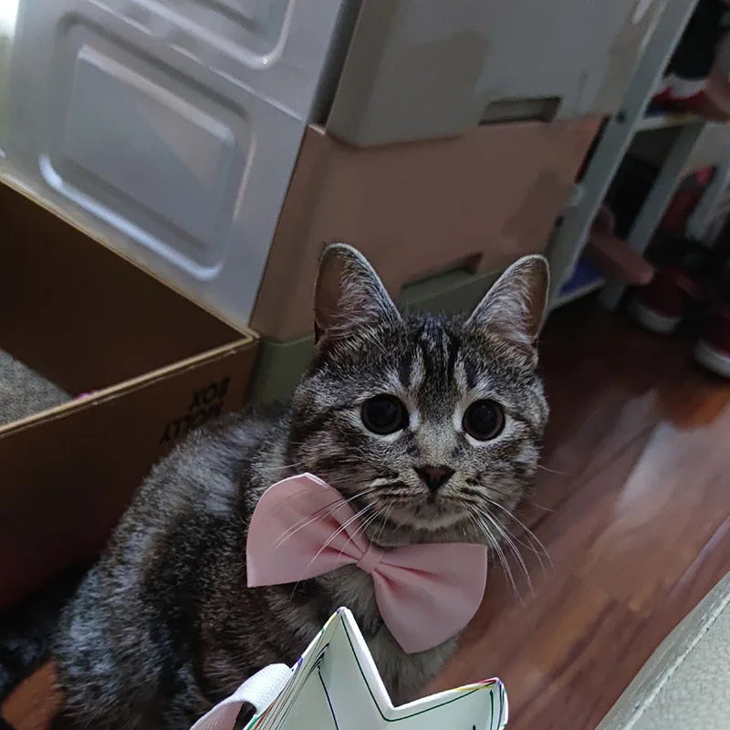 50pcs Mix Color Bow Ties Bowknot for Dogs Cat Grooming Accessories Small Animal Children Adjustable Bowtie Pet Product Wholesale
