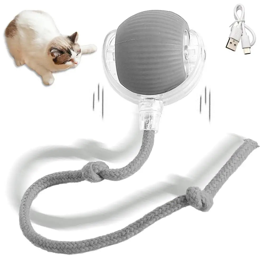 360° Automatic Self Moving Dog Cat Toys USB Rechargeable Dog Electric Toys Smart Rolling Ball Interactive Automatic J3L4