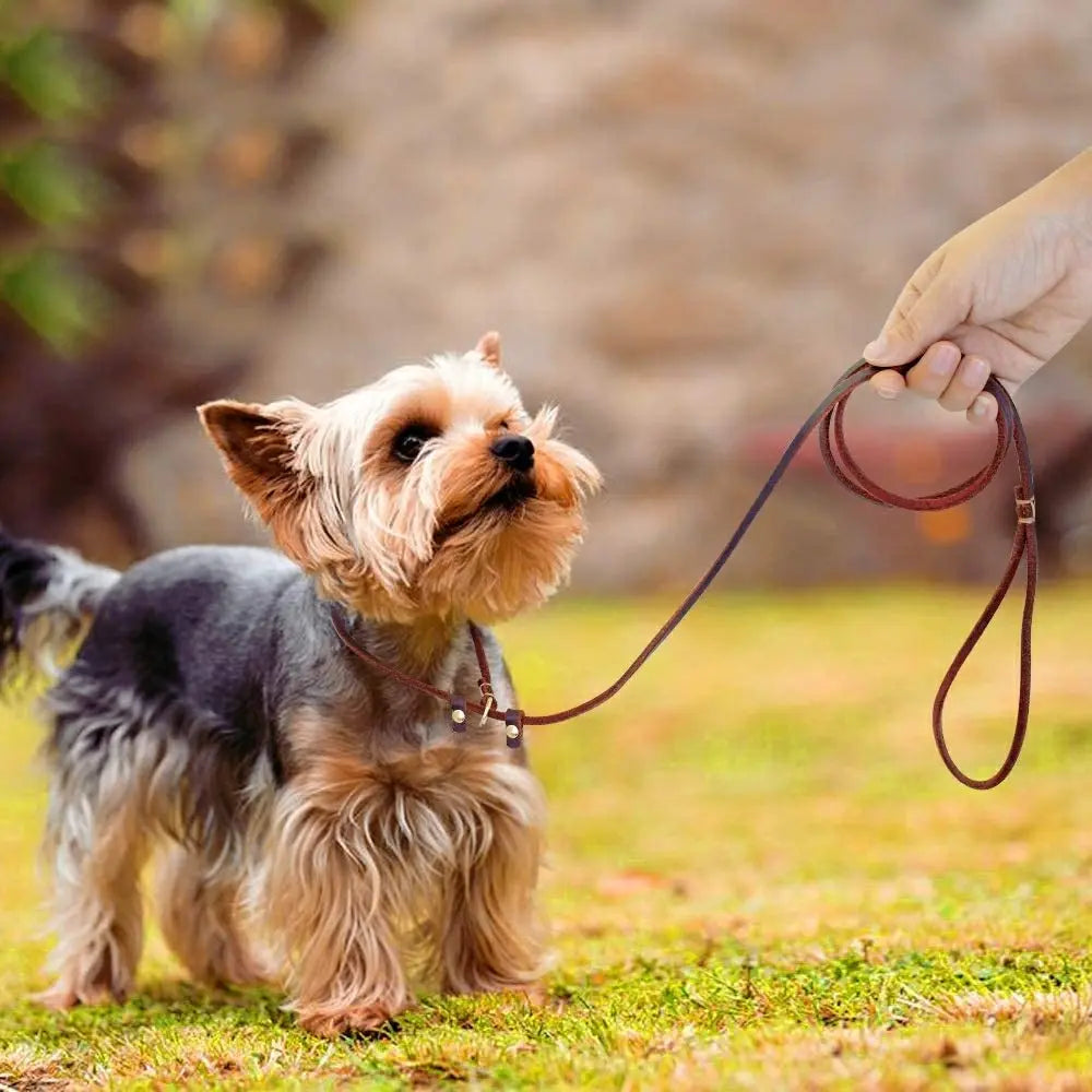 Slip Dog Leash Soft Thin Handmade Genuine Leather Pet Puppy Dog Chain Collar Leash Slip for Small Medium Dogs Training & Walking