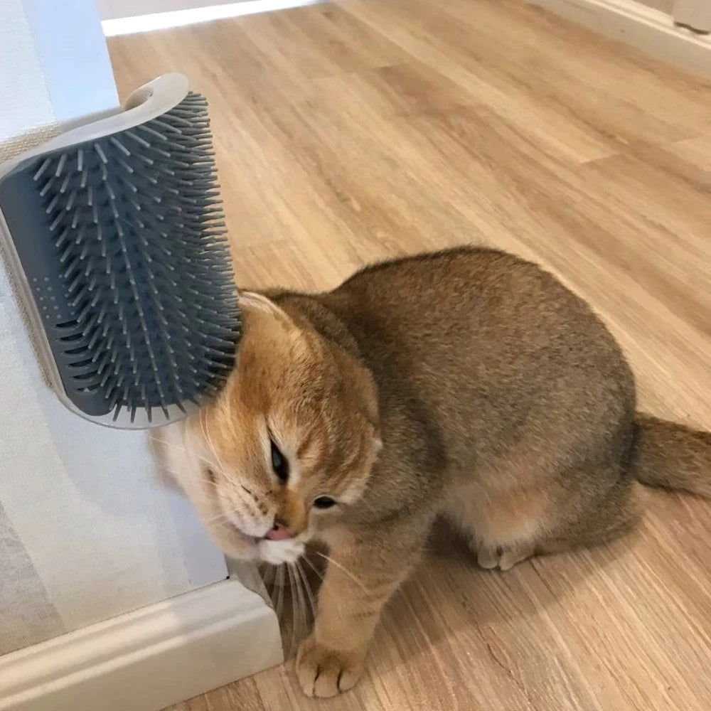Pet Cat Brush Massage Device Hair Removal Comb Cat Toy Plastic Scratch Bristles Arch Massager Self Grooming Cat Corner Scratcher