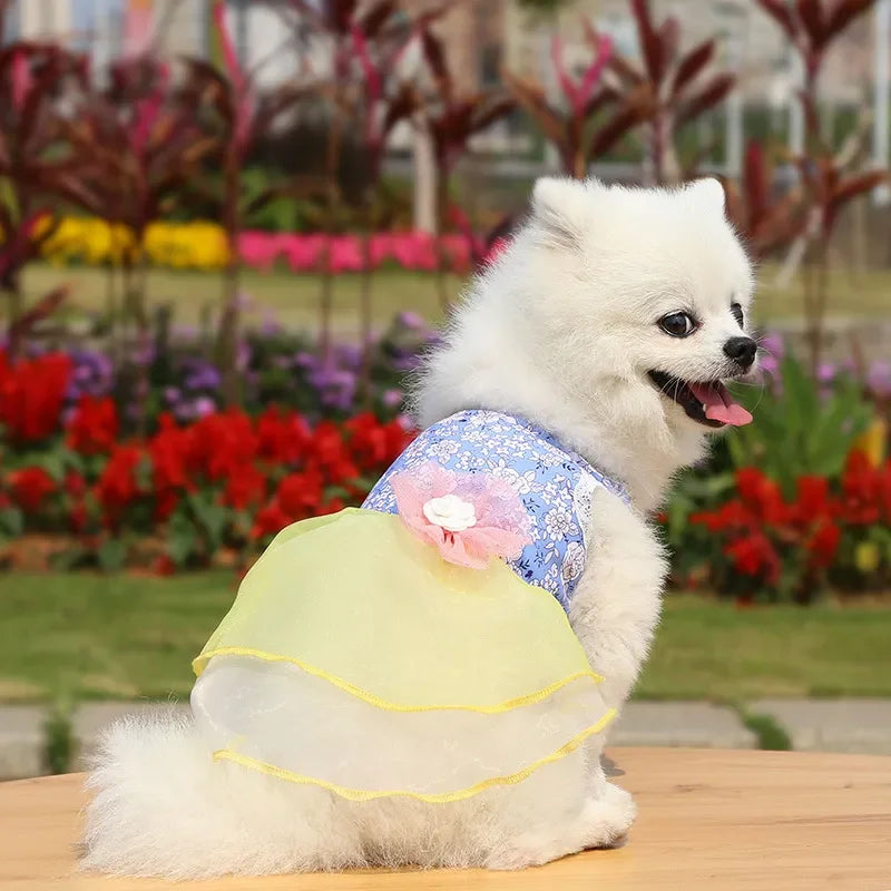 2024 Summer Dress for Dog Pets Clothes Chihuahua Wedding Dress Skirt Cloth Accessory Dog Pet Dress Supplies Hanbok Cat Costume
