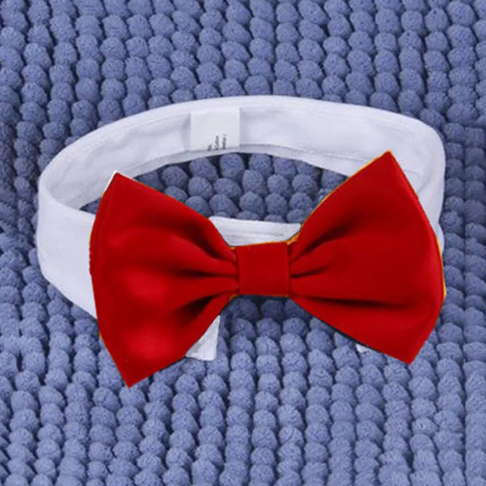 Pet Dog Cat Adjustable Bow Tie Collar Puppy Necktie Bowknot Bowtie Pet Cat Holiday Wedding Decoration Accessories for Small Dogs