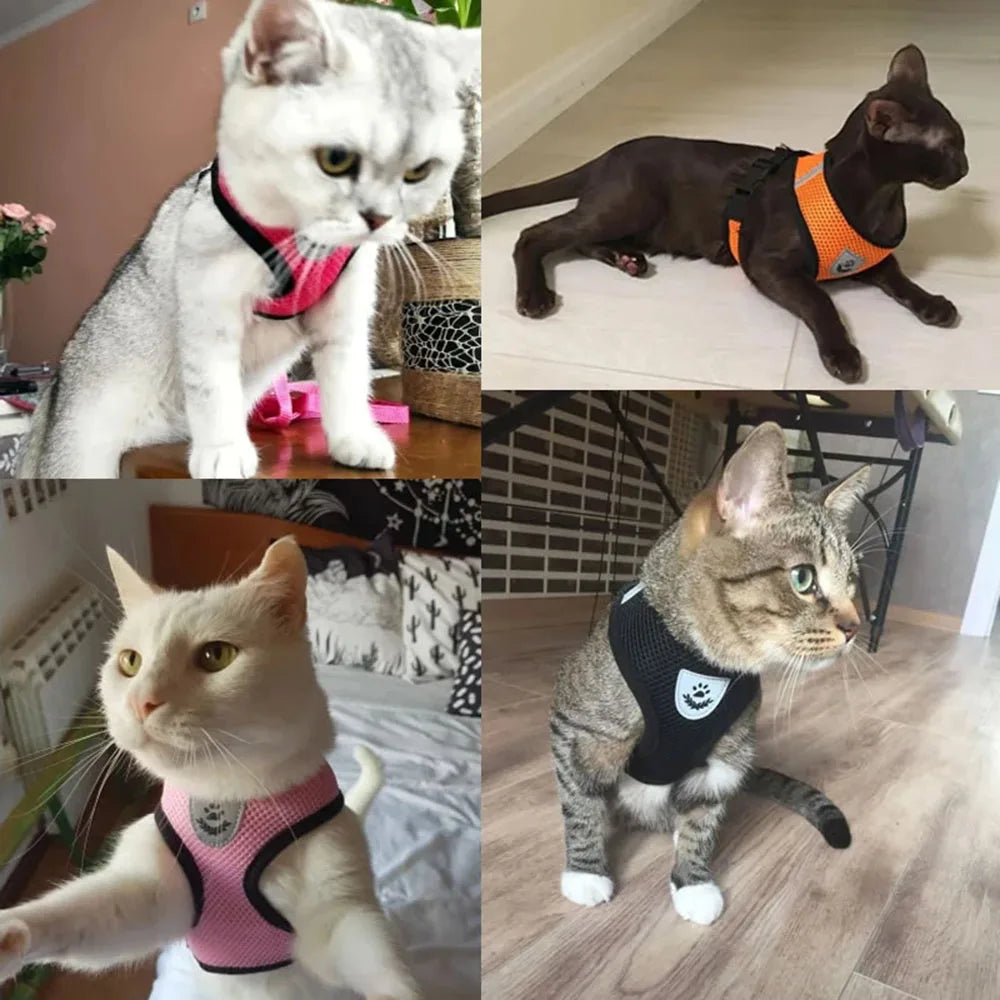 Cat Harness and Leash Escape Proof Adjustable Vest Harnesses for Cats Reflective Cat Harness Breathable Soft Kitty Puppy Harness