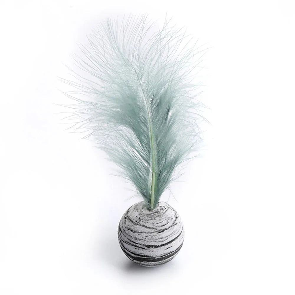 Cat Feather Toy Funny Foam Star Ball Feather Toy for Kitten Funny Cat Toy Throwing Toys Interactive Puppy Kitty Toy Pet Supplies