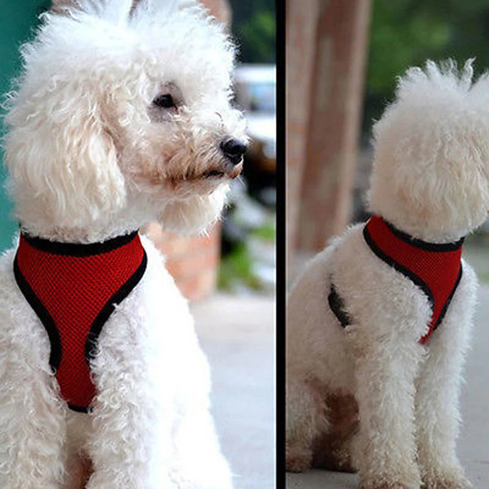 Adjustable Soft Dog Harness Nylon Breathable Mesh Walk Out Harness Vest Collar for Pets Small Medium Large Dog Chest Strap Leash