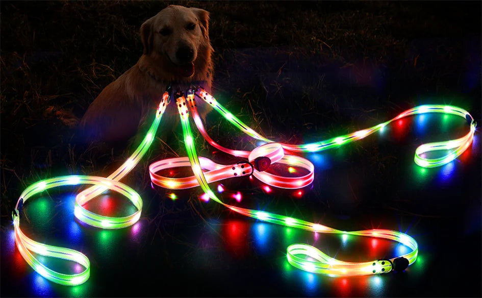 Led Light Up Dog Leash Walking Safety Glow in The Dark USB Rechargeable Adjustable for Large Medium Small Pet Lighted Dog Collar
