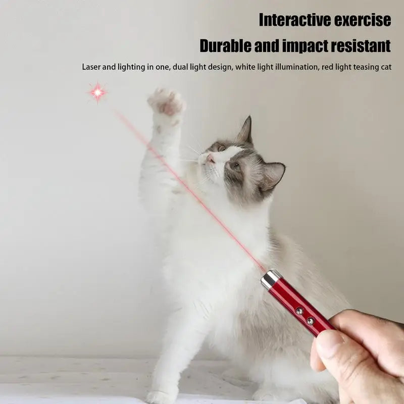 Laser Pointer For Cats Interactive Cat Laser Toy Pet Enrichment Toys For Indoor Cat To Play And Exercise