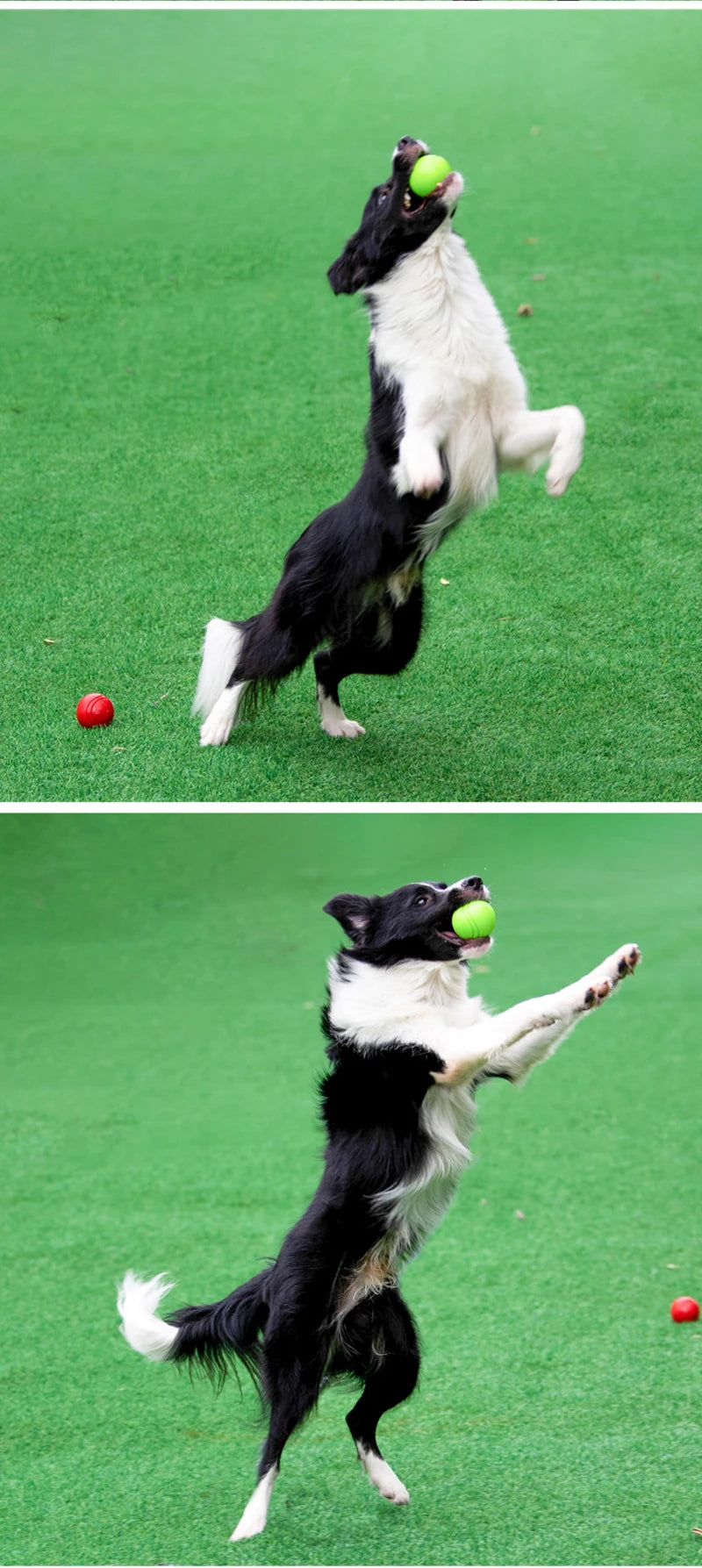 Dog Toy Rubber Ball Bite-resistant Ball Toy for Dogs Puppy Teddy Pitbull Red Color Solid Ball S-XL Pet Supplies