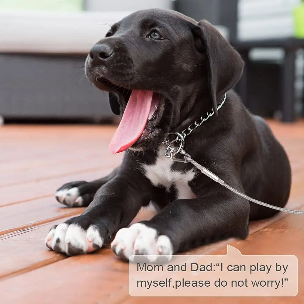 Dog Tie Out Cable Long Steel Wire Dog Leash,Heavy Duty & Durable Dog Chain for Yard,Dog Leads for Large Dogs Up to 150 Lbs
