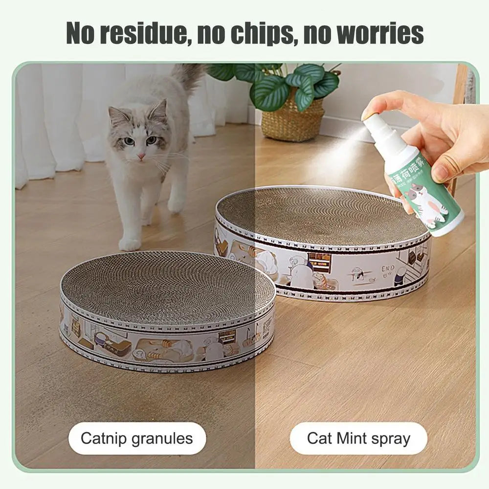 Spray Catnip Natural Maximum Potency Cat Nip Bundle High Potency Catnip 50ml Safe Non-Addictive Catnip Feline And Cat Lover