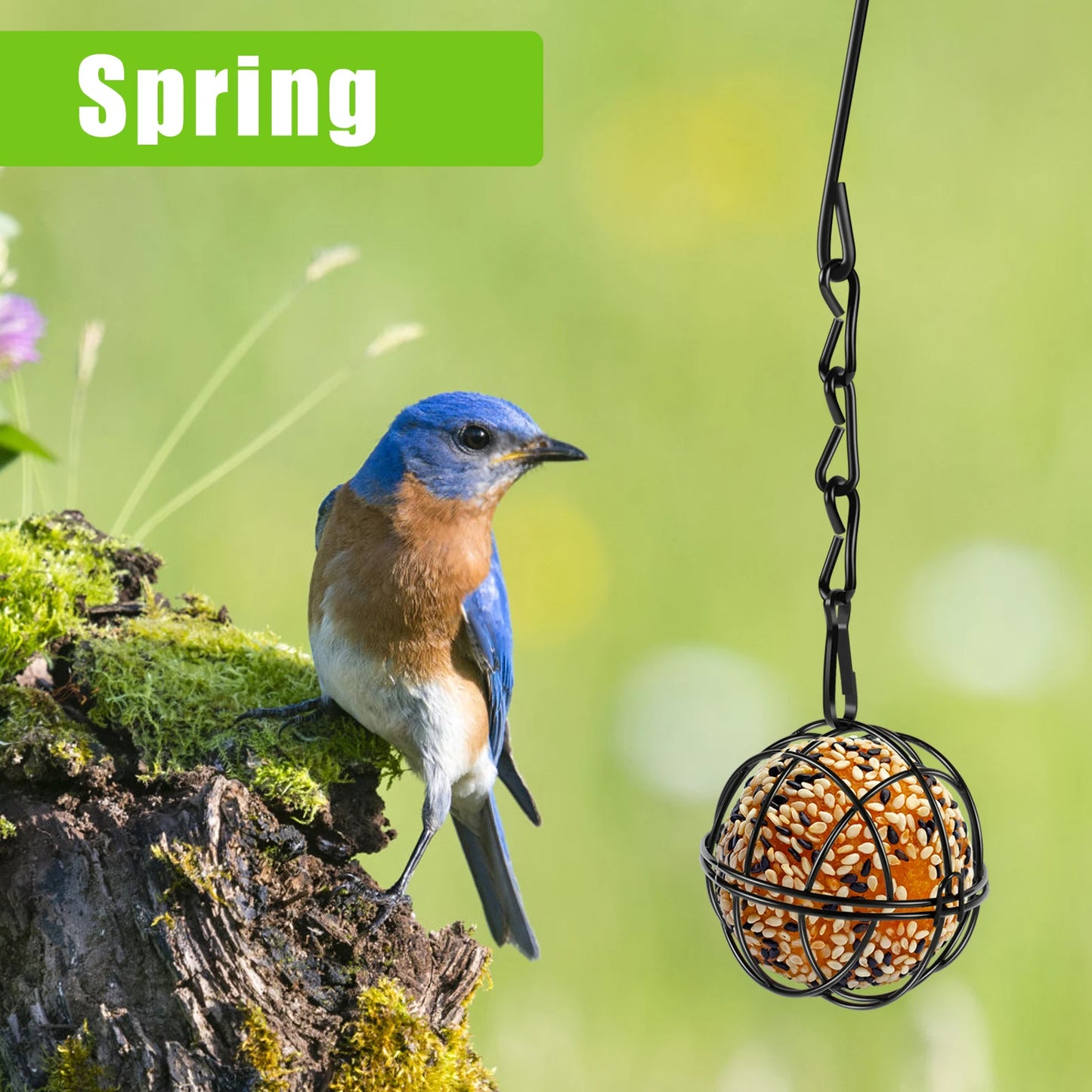 4Pcs Metal Suet Ball Bird Feeder Set with Hanging Chain Squirrel Proof Bird Feeders for Outdoor Garden Hummingbird Feeders