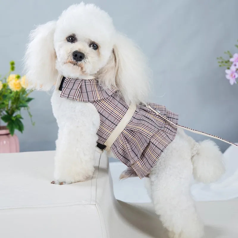 2023New Dog Harness Elegant Comfortable Breathable Pet Dress Collar For Small Dogs Fashion Lovers Vest Dog Harness and Leash Set