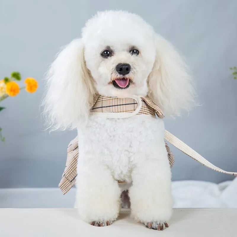2023New Dog Harness Elegant Comfortable Breathable Pet Dress Collar For Small Dogs Fashion Lovers Vest Dog Harness and Leash Set