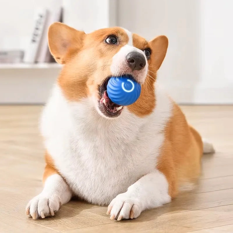 1pcs Dog Toys Intelligent Gravity Jump Ball Rechargeable Bite-Resistant Rolling Ball Cat And Dog Chase Interactive Pet Toys