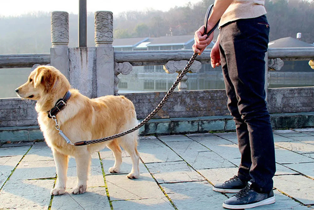 No Pull Leather Dog Leash Durable Cowhide Braided Dog Leash Buffer Spring Design for Training Walking Large and Medium Dogs Pets