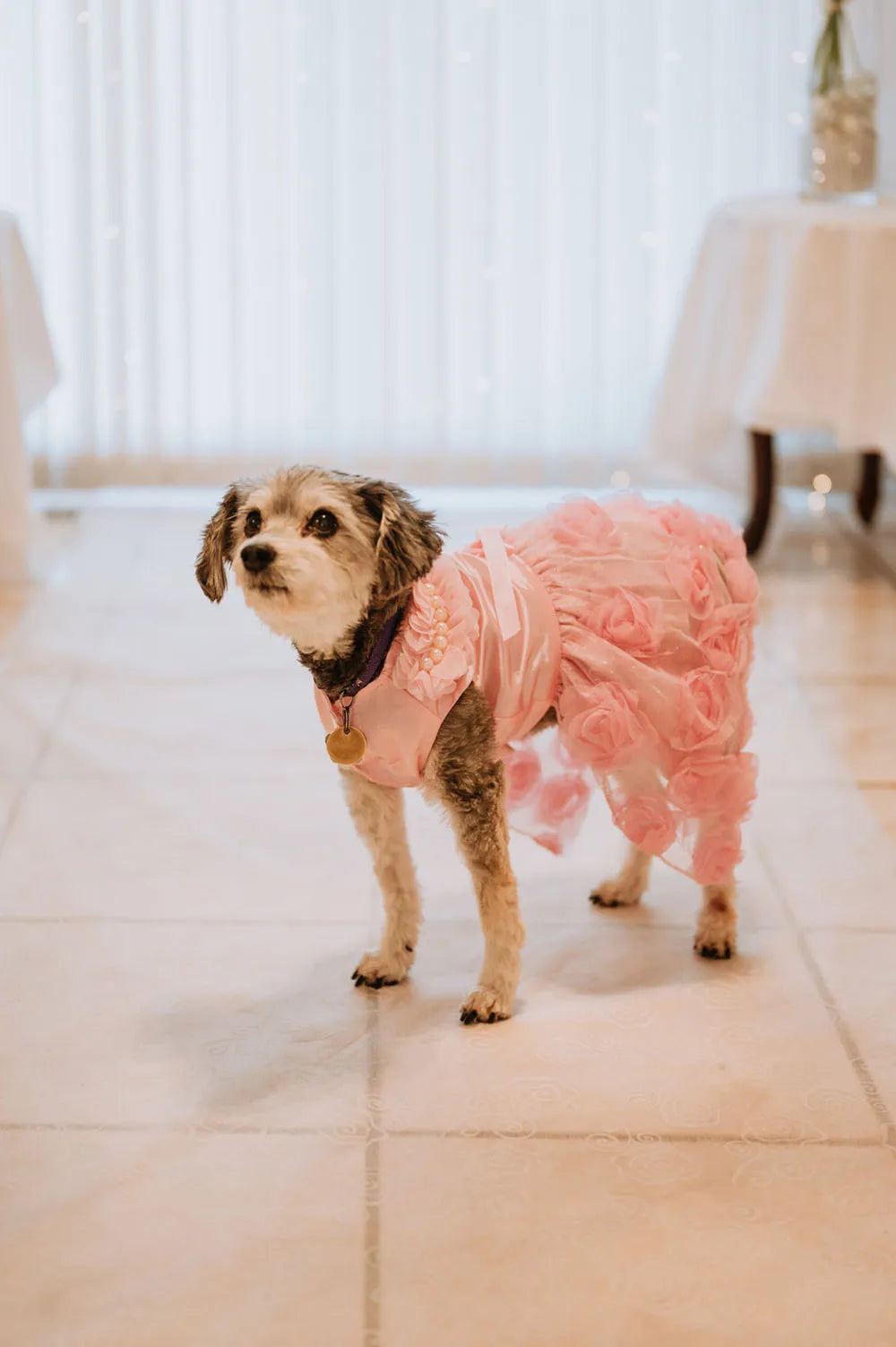Dog Dresses Puppy Wedding Dress Female Dogs Wedding Costume Girl Dogs Rose Dress for Doggy Teddy Chihuahua Pet Princess Clothing