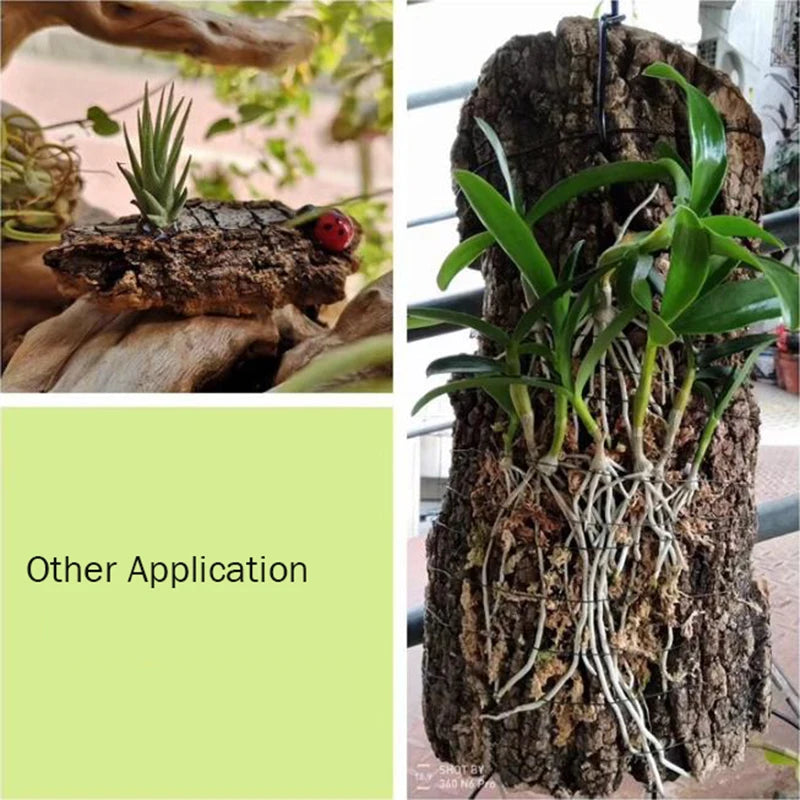 2Pcs Natural Tree Bark Aquarium Decoration Wood Artwork Decor Landscaping Ornaments Decor Fish Tank Background Moss Decor