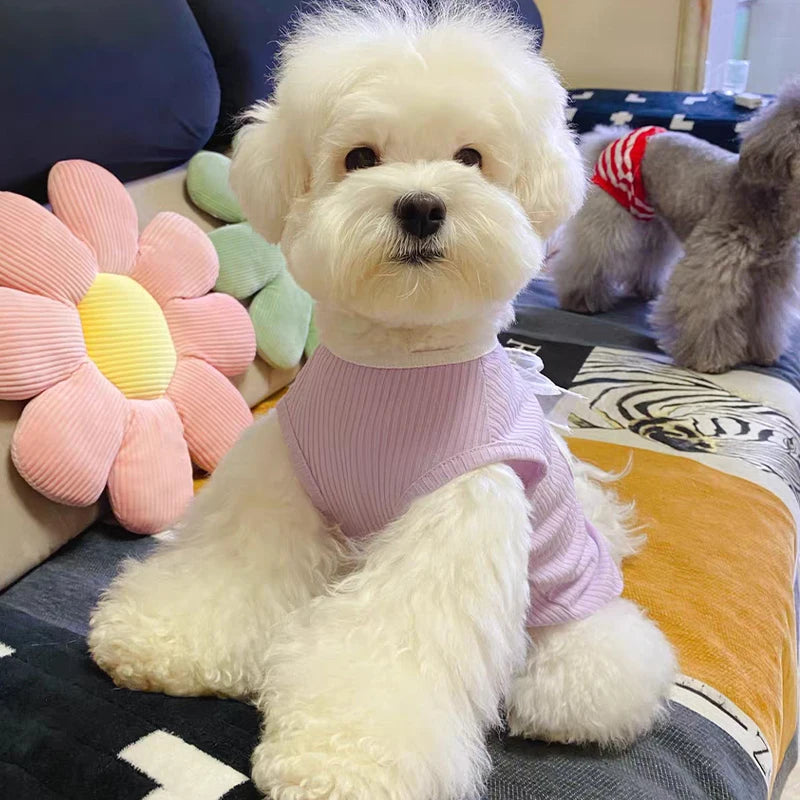 Vest for Dogs Solid Bow Dog Clothes for Small Dogs Sexy Backless Dog Costume Chihuahua Bichon 2024 Girls Dog Shirt Puppy T-Shirt