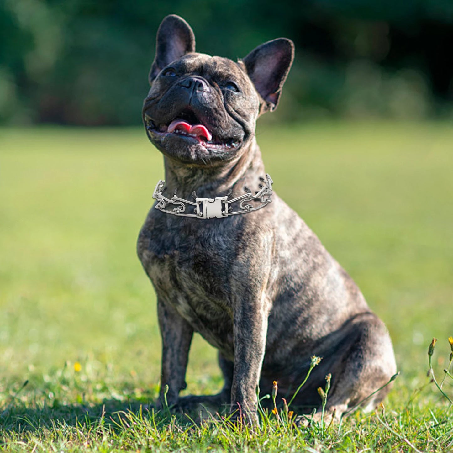 Pinch Collar for Dogs Adjustable Training Dog Collar Prong Collar with Quick Release Buckle for Medium Large Dogs,No Pull Collar