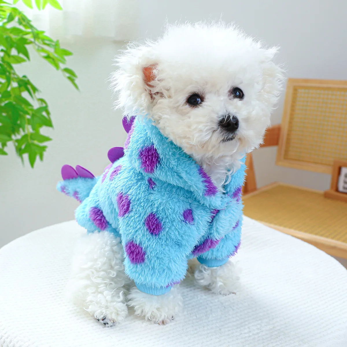 Pet circle, dogs, cats, clothes with plush insulation, comfortable short style, flower dinosaur