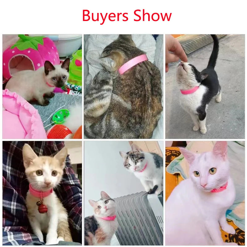 Summer Flea Cleaning Tool Adjustable Anti Flea Cat Collar Neck Strap Anti Mite Louse Cootie Pet Collar Cat Supplies