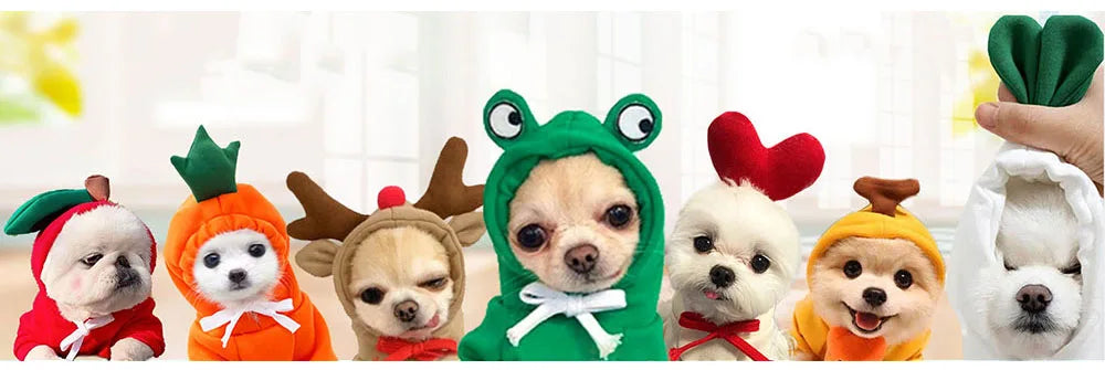 Cute Fruit Pet Costume Dog Clothes for Small Dogs Warm Fleece Doggy Hoodies Pet Dog Cat Clothing Puppy Sweater for Chihuahua Pug