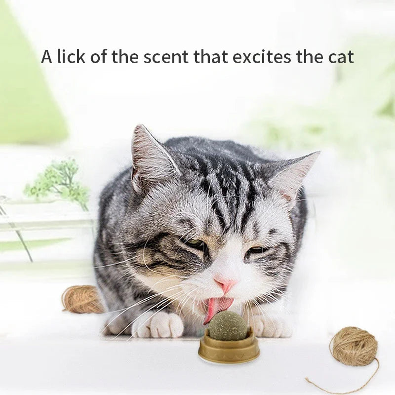 Natural Catnip Cats Wall Stick-on Ball Toy Scratchers Treats Healthy Natural Removes Balls to Promote Digestion Cat Grass Snack