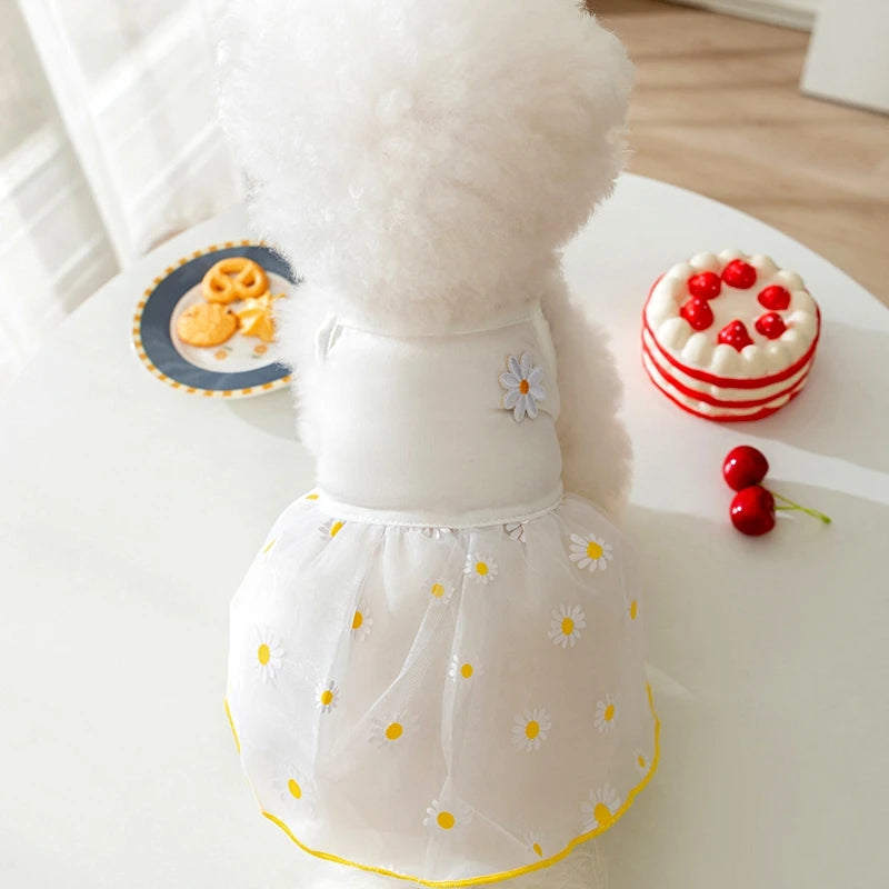 Dog Strawberry Skirt Puppy Summer Clothes Cute Lace Dog Clothing 2024 Chihuahua French Bulldog Dog Suspenders Girls Dog Costume