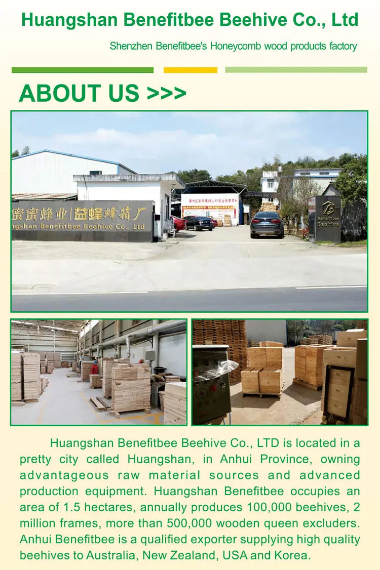 Wholesale beekeeping beehive Langstroth bee box plastic beehive