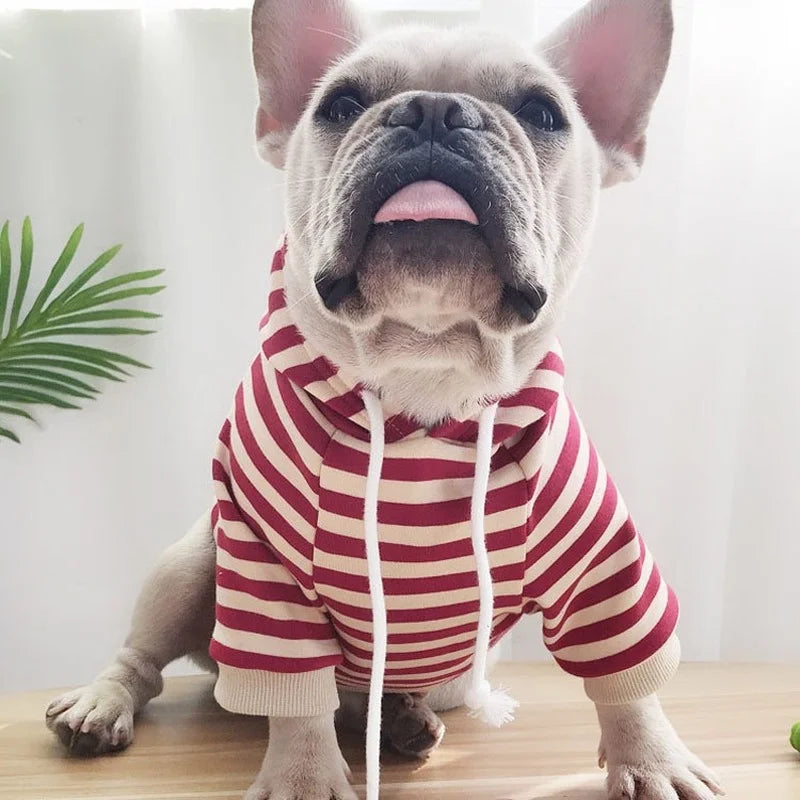 autumn winter fleece pet clothes dog hooded pet parent-child clothing stripe French Teddy small dog cat clothing