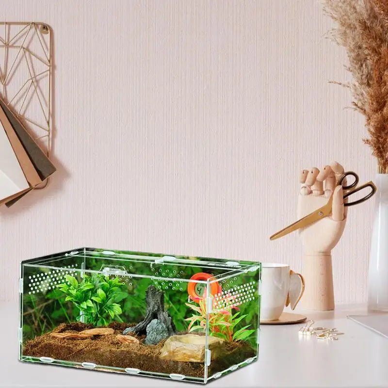 Acrylic Reptile Feeding Box Insect Lizard Spider Breeding Cage Hatching Container All-round Transparent Feeding Box