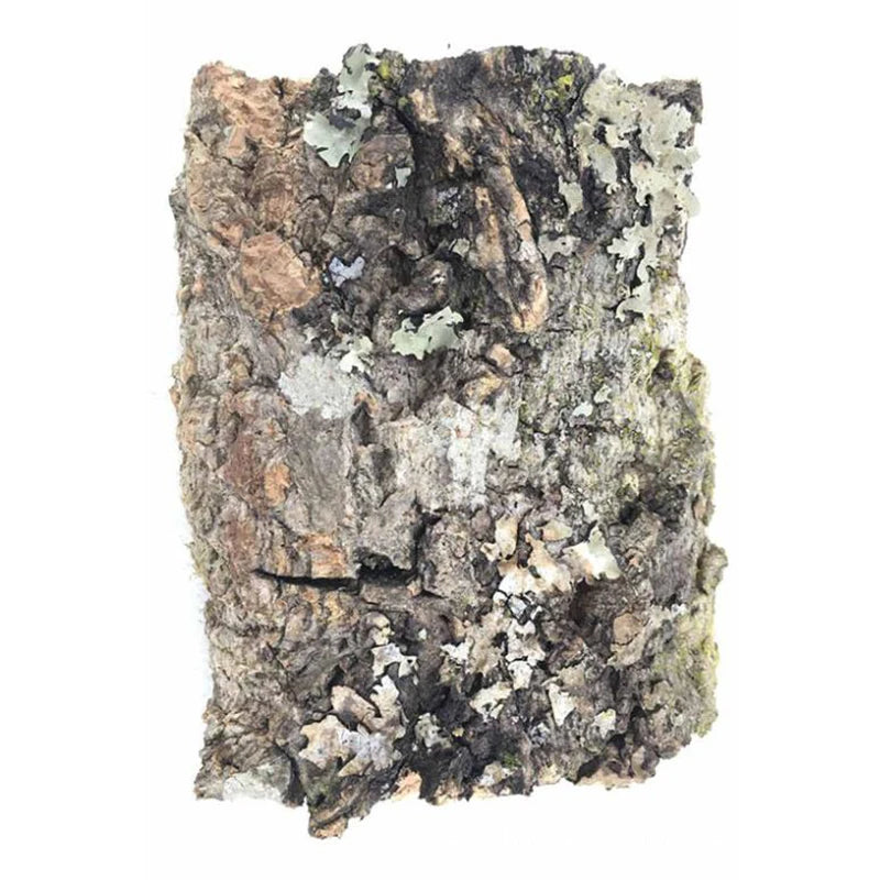 2Pcs Natural Tree Bark Aquarium Decoration Wood Artwork Decor Landscaping Ornaments Decor Fish Tank Background Moss Decor
